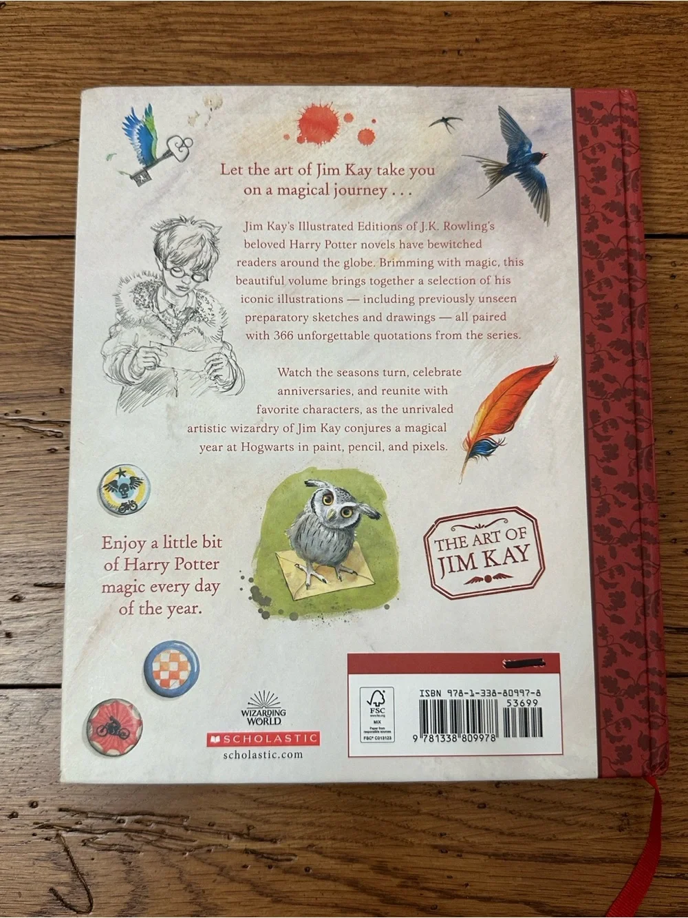 Scholastic Illustrated Harry Potter Art Book – Red & Green Accents